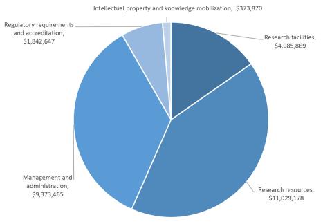 Pie chart of the allocation