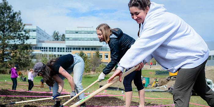 Education (Okanagan)